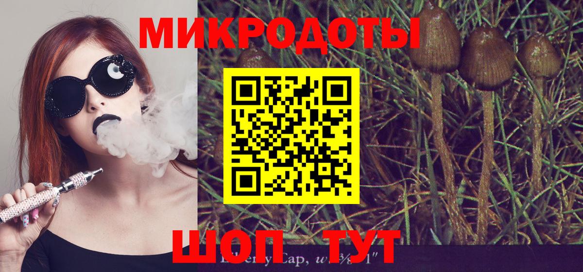 Сертолово  Галлюциногенные грибы Cubensis  Псилоцибиновые грибы MAGIC MUSHROOMS  Вход с VPN 