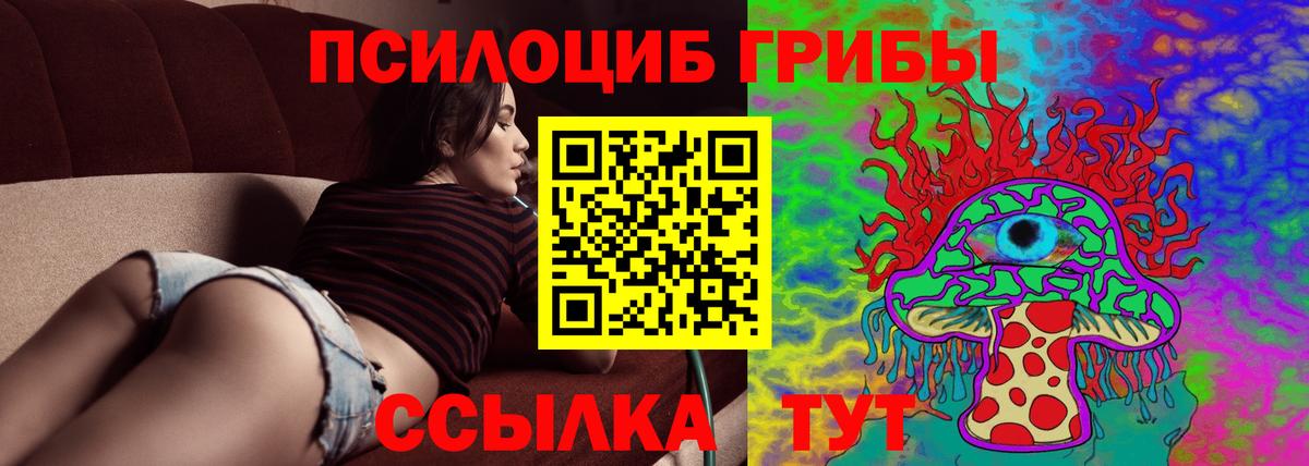 Галлюциногенные грибы Cubensis Сертолово
