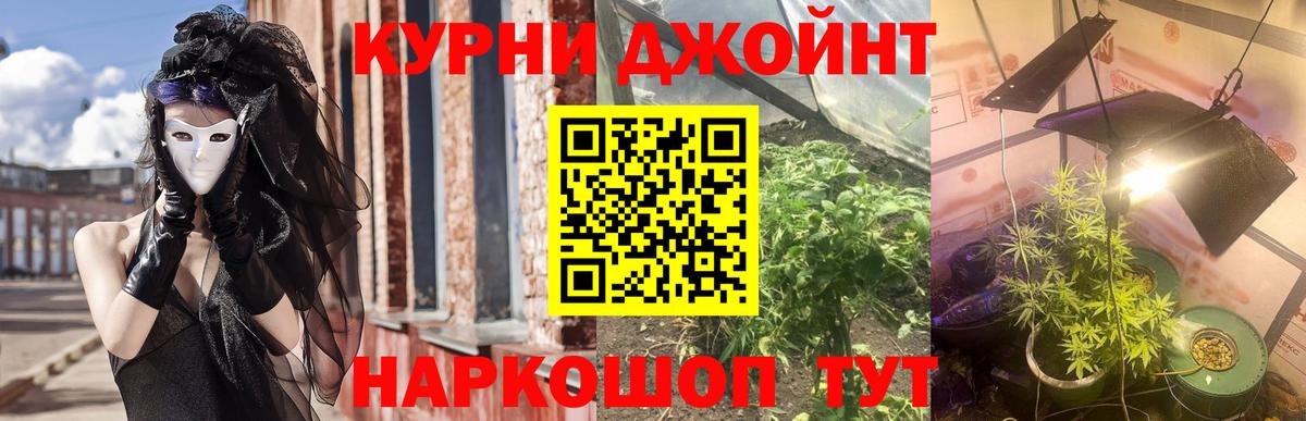 Сертолово  МАРИХУАНА план  МАРИХУАНА Amnesia  Бошки марихуана семена  Вход с VPN 
